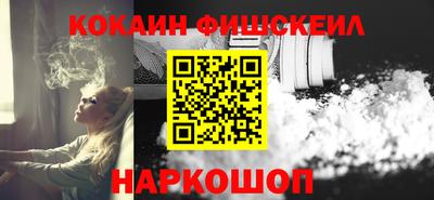 дмт Кингисепп