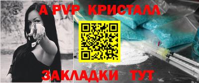 дмт Кингисепп