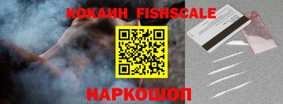дмт Кингисепп