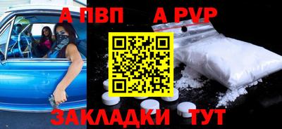 дмт Кингисепп