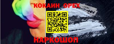 дмт Кингисепп