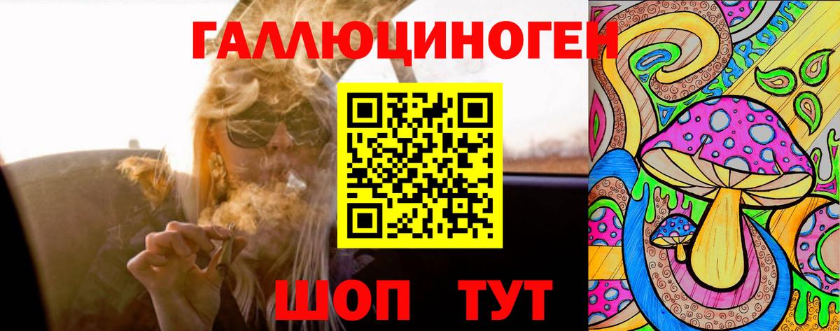 Искитим  Галлюциногенные грибы Cubensis  Вход с VPN 