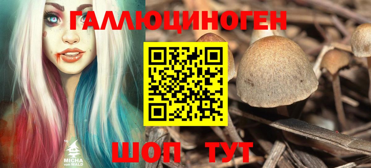 Псилоцибиновые грибы ЛСД Искитим